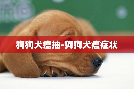 狗狗犬瘟抽-狗狗犬瘟癥狀