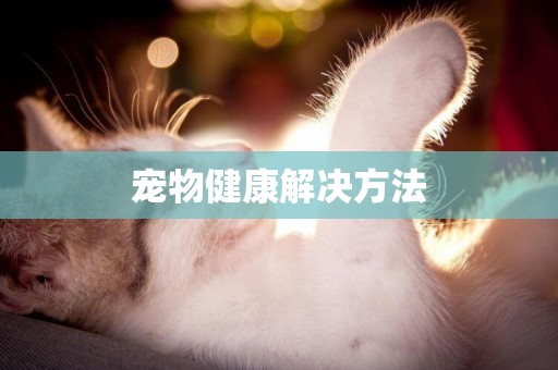 寵物健康解決方法