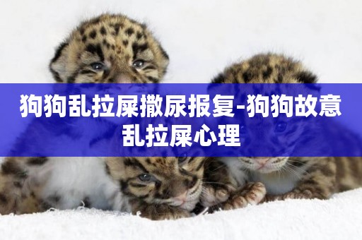 狗狗亂拉屎撒尿報復-狗狗故意亂拉屎心理
