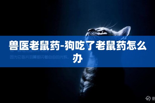 獸醫老鼠藥-狗吃了老鼠藥怎么辦