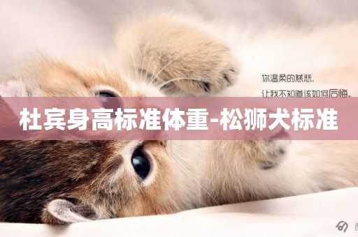 杜賓身高標準體重-松獅犬標準