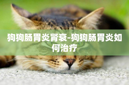 狗狗腸胃炎腎衰-狗狗腸胃炎如何治療