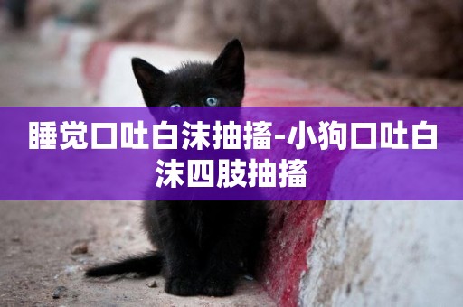 睡覺口吐白沫抽搐-小狗口吐白沫四肢抽搐