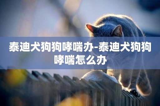 泰迪犬狗狗哮喘辦-泰迪犬狗狗哮喘怎么辦