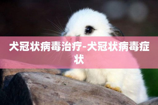 犬冠狀病毒治療-犬冠狀病毒癥狀