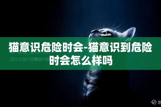 貓意識危險時會-貓意識到危險時會怎么樣嗎