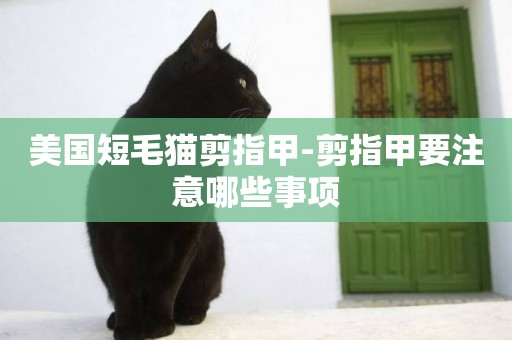 美國短毛貓剪指甲-剪指甲要注意哪些事項