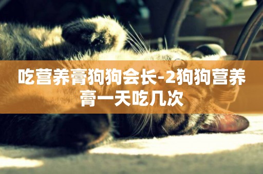 吃營養膏狗狗會長-2狗狗營養膏一天吃幾次