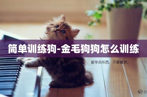 簡單訓練狗-金毛狗狗怎么訓練