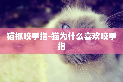 貓抓咬手指-貓為什么喜歡咬手指