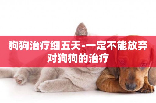 狗狗治療細五天-一定不能放棄對狗狗的治療