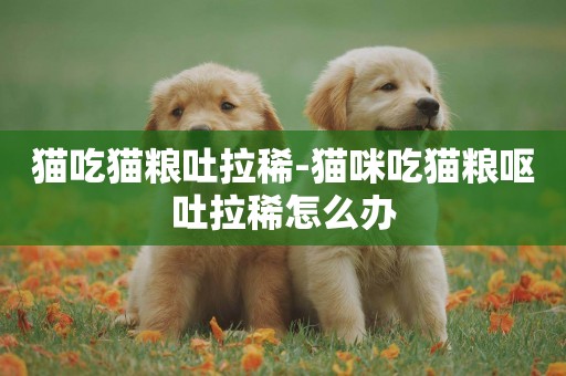 貓吃貓糧吐拉稀-貓咪吃貓糧嘔吐拉稀怎么辦