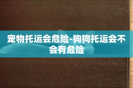 寵物托運會危險-狗狗托運會不會有危險