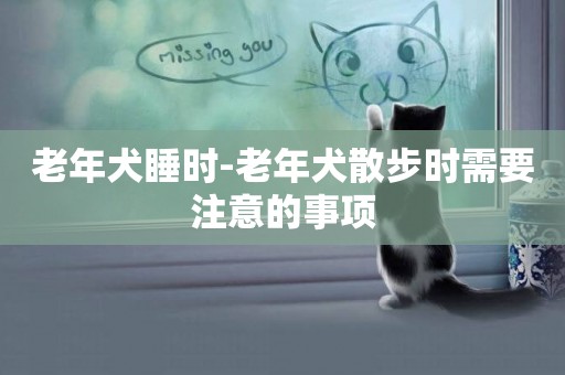 老年犬睡時-老年犬散步時需要注意的事項