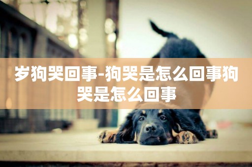 歲狗哭回事-狗哭是怎么回事狗哭是怎么回事