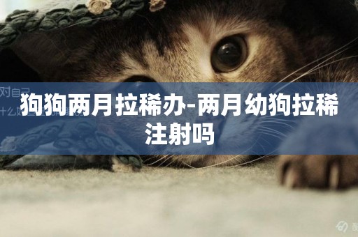 狗狗兩月拉稀辦-兩月幼狗拉稀注射嗎
