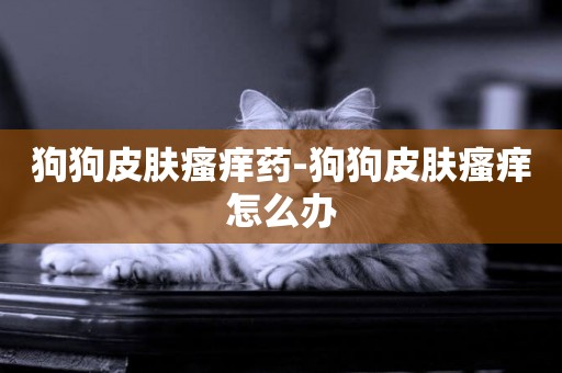 狗狗皮膚瘙癢藥-狗狗皮膚瘙癢怎么辦