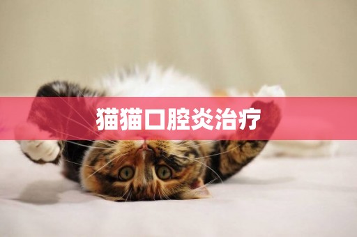 貓貓口腔炎治療