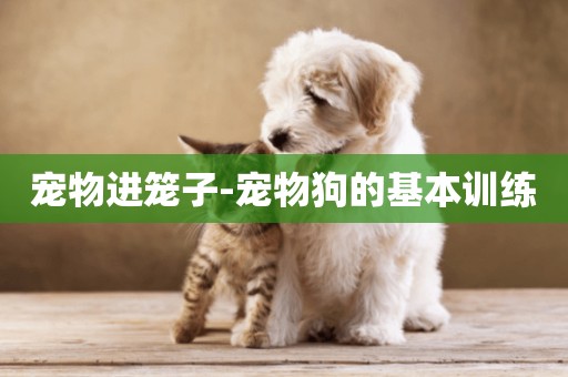寵物進籠子-寵物狗的基本訓練