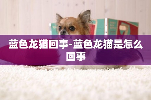 藍色龍貓回事-藍色龍貓是怎么回事