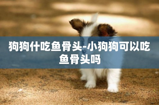 狗狗什吃魚骨頭-小狗狗可以吃魚骨頭嗎