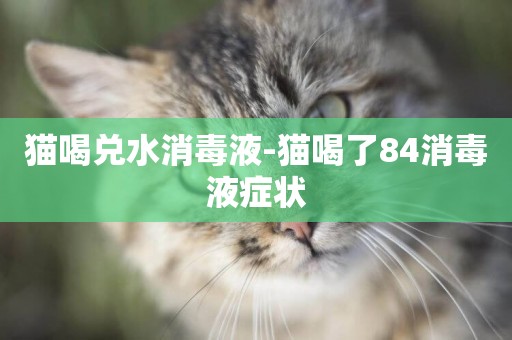 貓喝兌水消毒液-貓喝了84消毒液癥狀