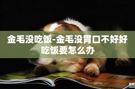 金毛沒吃飯-金毛沒胃口不好好吃飯要怎么辦