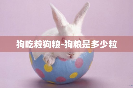 狗吃粒狗糧-狗糧是多少粒