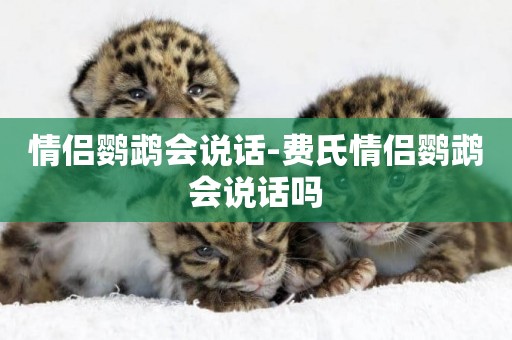 情侶鸚鵡會說話-費氏情侶鸚鵡會說話嗎