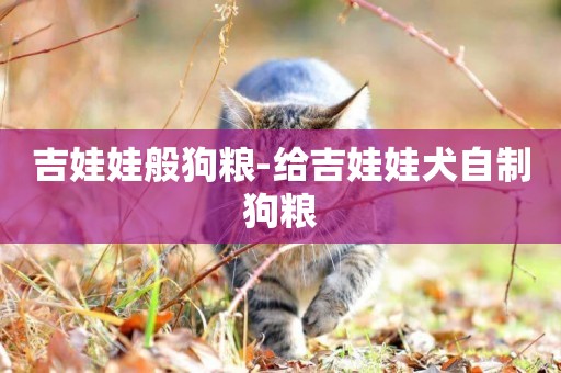 吉娃娃般狗糧-給吉娃娃犬自制狗糧