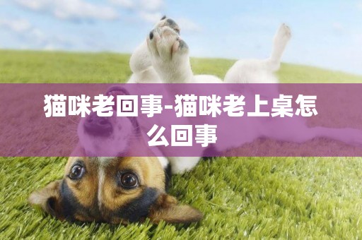 貓咪老回事-貓咪老上桌怎么回事