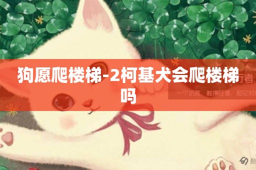 狗愿爬樓梯-2柯基犬會爬樓梯嗎