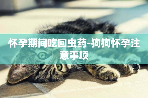 懷孕期間吃回蟲藥-狗狗懷孕注意事項