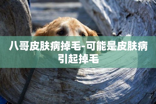 八哥皮膚病掉毛-可能是皮膚病引起掉毛