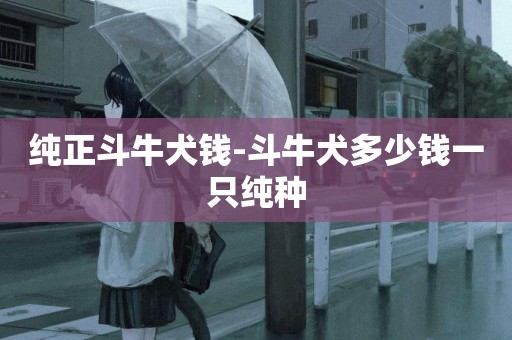純正斗牛犬錢-斗牛犬多少錢一只純種