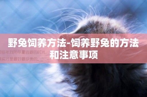 野兔飼養方法-飼養野兔的方法和注意事項