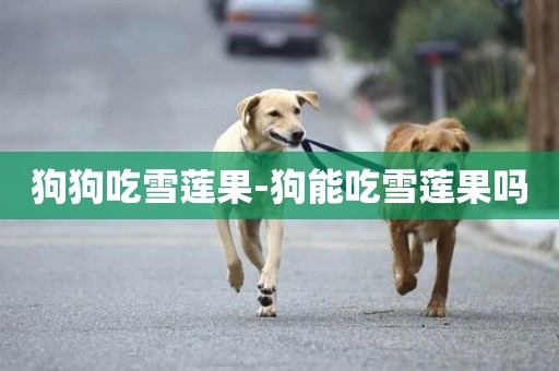 狗狗吃雪蓮果-狗能吃雪蓮果嗎