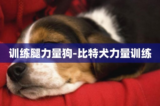 訓練腿力量狗-比特犬力量訓練