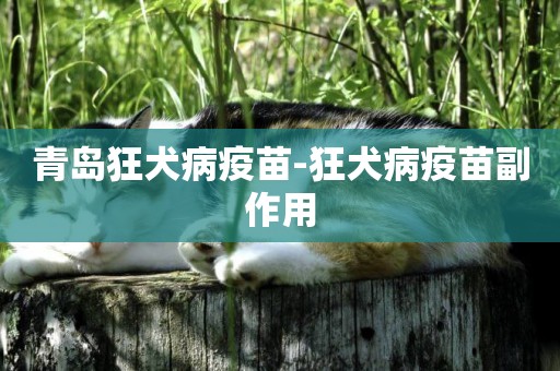 青島狂犬病疫苗-狂犬病疫苗副作用