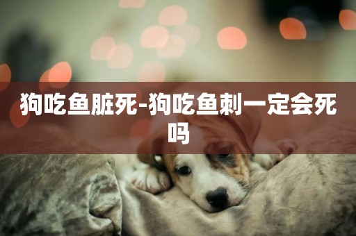 狗吃魚臟死-狗吃魚刺一定會死嗎