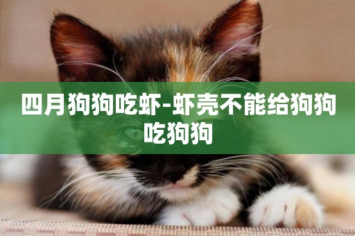 四月狗狗吃蝦-蝦殼不能給狗狗吃狗狗