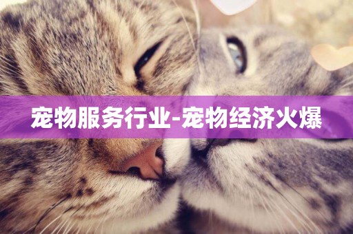 寵物服務行業-寵物經濟火爆