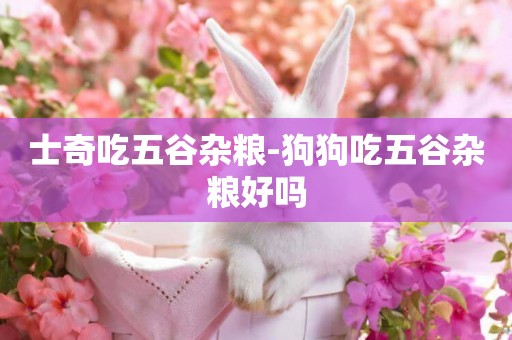 士奇吃五谷雜糧-狗狗吃五谷雜糧好嗎