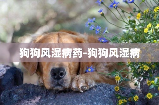 狗狗風濕病藥-狗狗風濕病