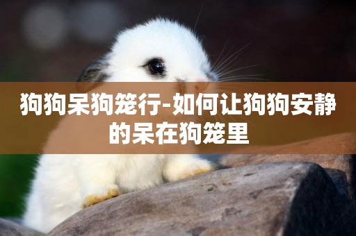 狗狗呆狗籠行-如何讓狗狗安靜的呆在狗籠里