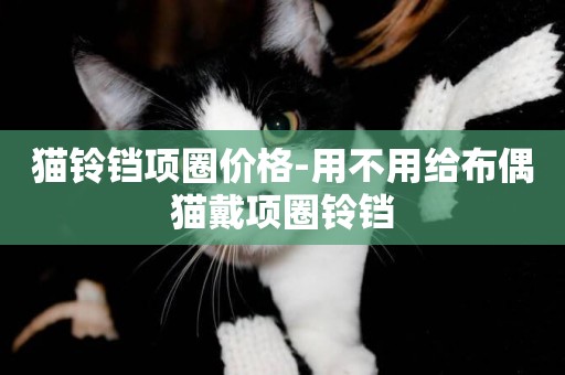 貓鈴鐺項圈價格-用不用給布偶貓戴項圈鈴鐺