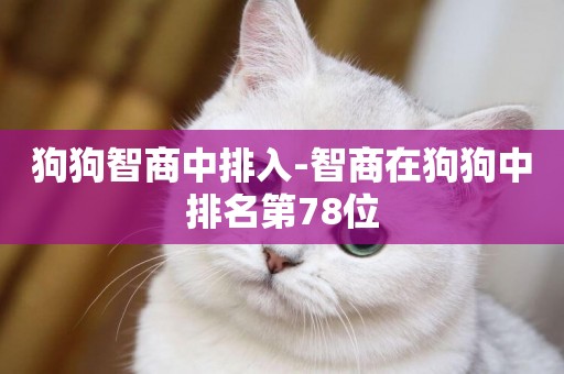 狗狗智商中排入-智商在狗狗中排名第78位