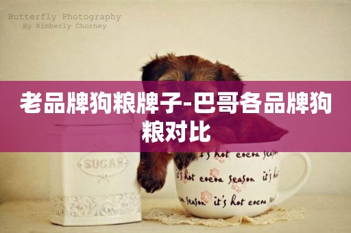 老品牌狗糧牌子-巴哥各品牌狗糧對比