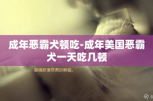 成年惡霸犬頓吃-成年美國惡霸犬一天吃幾頓