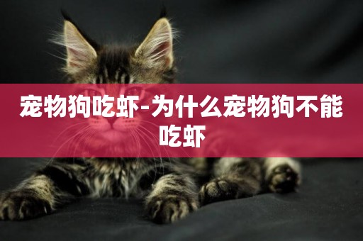 寵物狗吃蝦-為什么寵物狗不能吃蝦